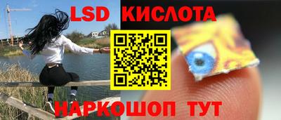 крисы Кулебаки