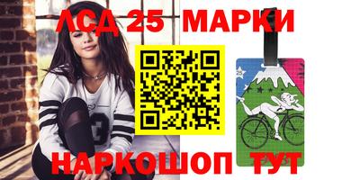 крисы Кулебаки