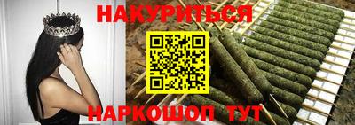 крисы Кулебаки