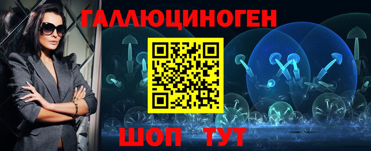 Галлюциногенные грибы Psilocybe Звенигород