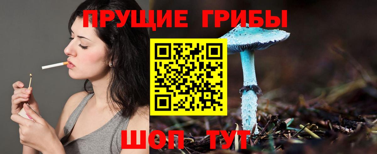 Звенигород  Галлюциногенные грибы мухоморы  Вход с VPN  Галлюциногенные грибы ЛСД 