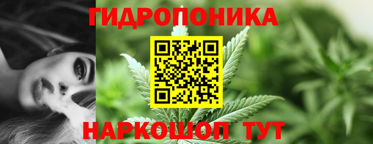 Канабис марихуана  Канабис Bruce Banner  Каннабис гибрид  Вход с VPN  Звенигород 